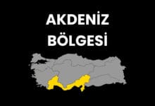 Akdeniz Bölgesi Hakkında Bilgiler