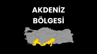 Akdeniz Bölgesi Hakkında Bilgiler
