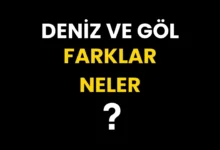 Deniz ile Göl Arasındaki Fark