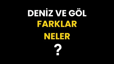 Deniz ile Göl Arasındaki Fark