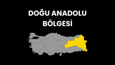 Doğu Anadolu Bölgesi Hakkında Bilgiler