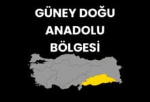 Güneydoğu Anadolu Bölgesi Hakkında Bilgiler