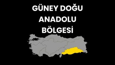 Güneydoğu Anadolu Bölgesi Hakkında Bilgiler
