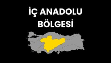 İç Anadolu Bölgesi Hakkında Bilgiler