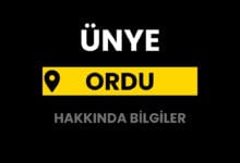 Ünye Hakkında Bilgiler