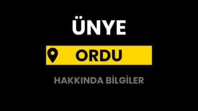 Ünye Hakkında Bilgiler